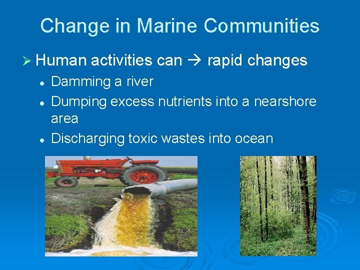 Change in Marine Communities Ø Human activities can rapid changes l l l Damming Change in Marine Communities Ø Human activities can rapid changes l l l Damming
