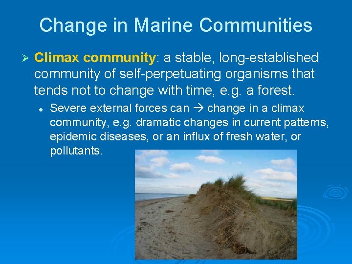 Change in Marine Communities Ø Climax community: a stable, long-established community of self-perpetuating organisms Change in Marine Communities Ø Climax community: a stable, long-established community of self-perpetuating organisms