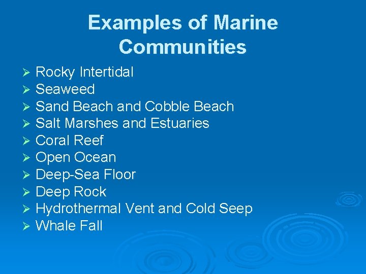 Examples of Marine Communities Ø Ø Ø Ø Ø Rocky Intertidal Seaweed Sand Beach Examples of Marine Communities Ø Ø Ø Ø Ø Rocky Intertidal Seaweed Sand Beach