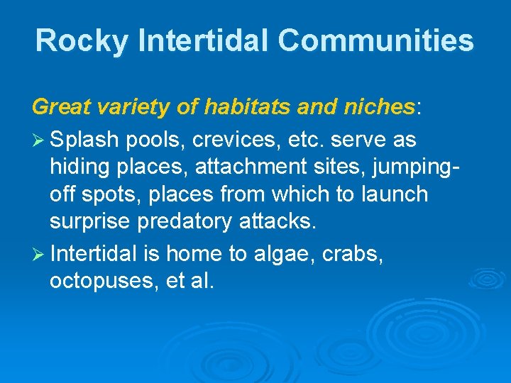 Rocky Intertidal Communities Great variety of habitats and niches: Ø Splash pools, crevices, etc. Rocky Intertidal Communities Great variety of habitats and niches: Ø Splash pools, crevices, etc.