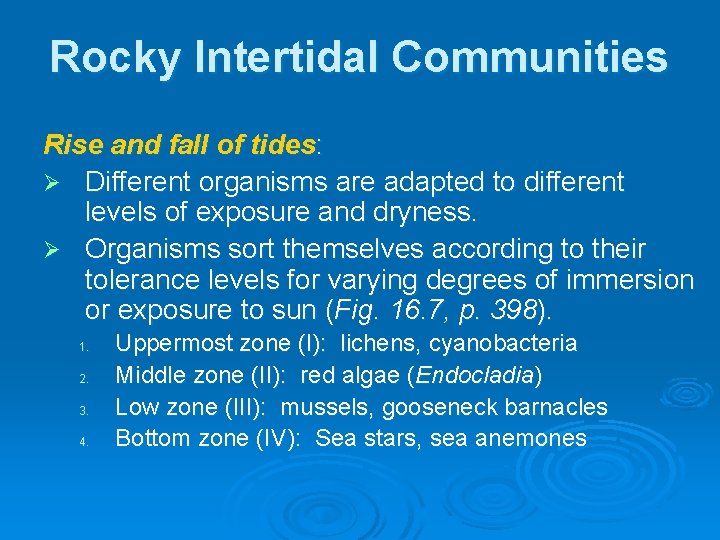 Rocky Intertidal Communities Rise and fall of tides: Ø Different organisms are adapted to Rocky Intertidal Communities Rise and fall of tides: Ø Different organisms are adapted to