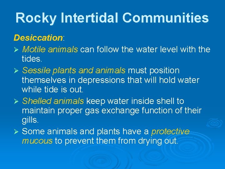 Rocky Intertidal Communities Desiccation: Ø Motile animals can follow the water level with the Rocky Intertidal Communities Desiccation: Ø Motile animals can follow the water level with the