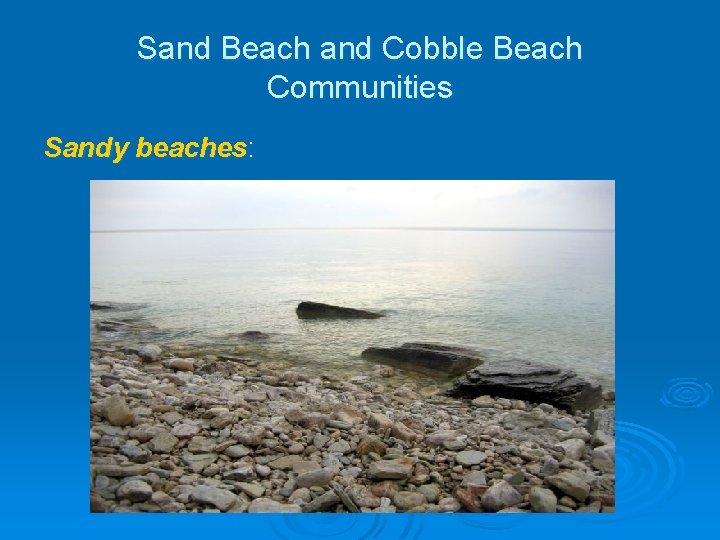Sand Beach and Cobble Beach Communities Sandy beaches: Sand Beach and Cobble Beach Communities Sandy beaches: