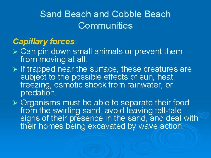 Sand Beach and Cobble Beach Communities Capillary forces: Ø Can pin down small animals Sand Beach and Cobble Beach Communities Capillary forces: Ø Can pin down small animals