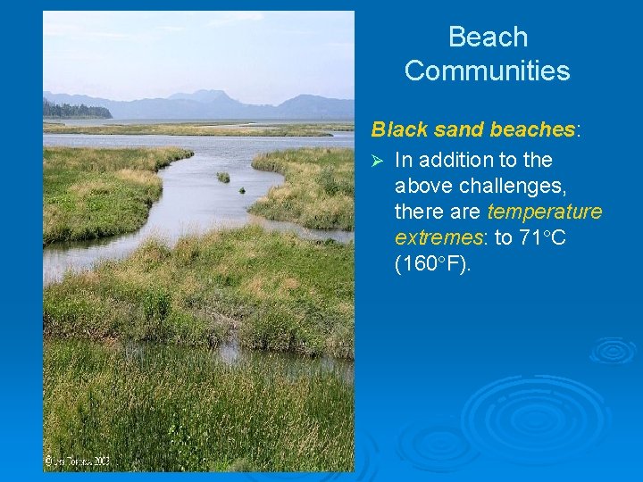 Beach Communities Black sand beaches: Ø In addition to the above challenges, there are Beach Communities Black sand beaches: Ø In addition to the above challenges, there are