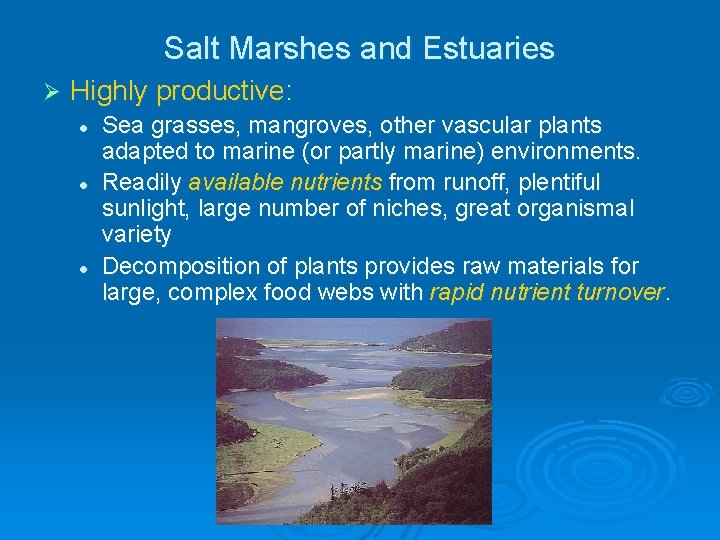 Salt Marshes and Estuaries Ø Highly productive: l l l Sea grasses, mangroves, other Salt Marshes and Estuaries Ø Highly productive: l l l Sea grasses, mangroves, other