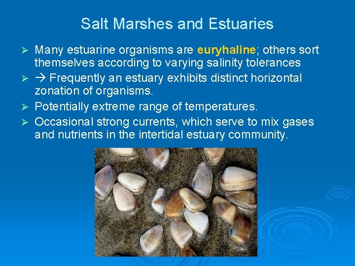 Salt Marshes and Estuaries Ø Ø Many estuarine organisms are euryhaline; others sort themselves Salt Marshes and Estuaries Ø Ø Many estuarine organisms are euryhaline; others sort themselves