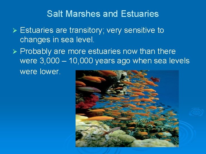 Salt Marshes and Estuaries are transitory; very sensitive to changes in sea level. Ø Salt Marshes and Estuaries are transitory; very sensitive to changes in sea level. Ø