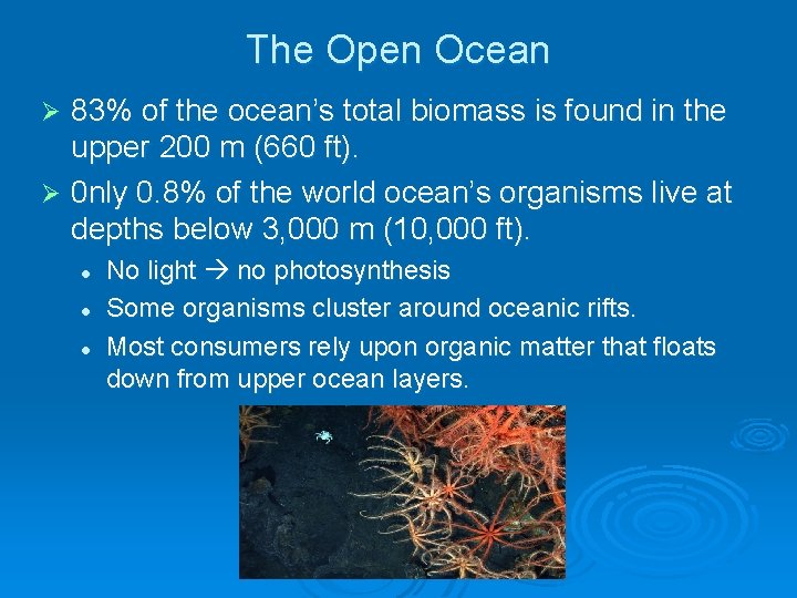 The Open Ocean 83% of the ocean’s total biomass is found in the upper The Open Ocean 83% of the ocean’s total biomass is found in the upper