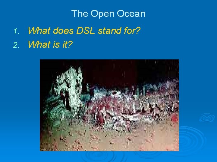 The Open Ocean What does DSL stand for? 2. What is it? 1. The Open Ocean What does DSL stand for? 2. What is it? 1.