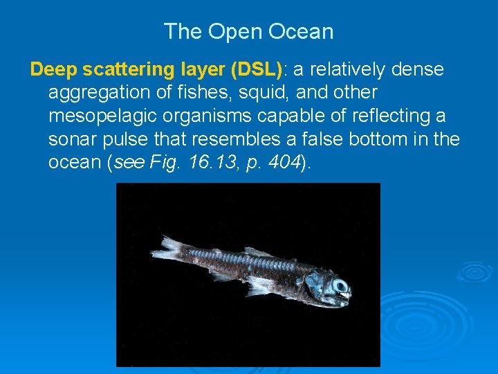 The Open Ocean Deep scattering layer (DSL): a relatively dense aggregation of fishes, squid, The Open Ocean Deep scattering layer (DSL): a relatively dense aggregation of fishes, squid,