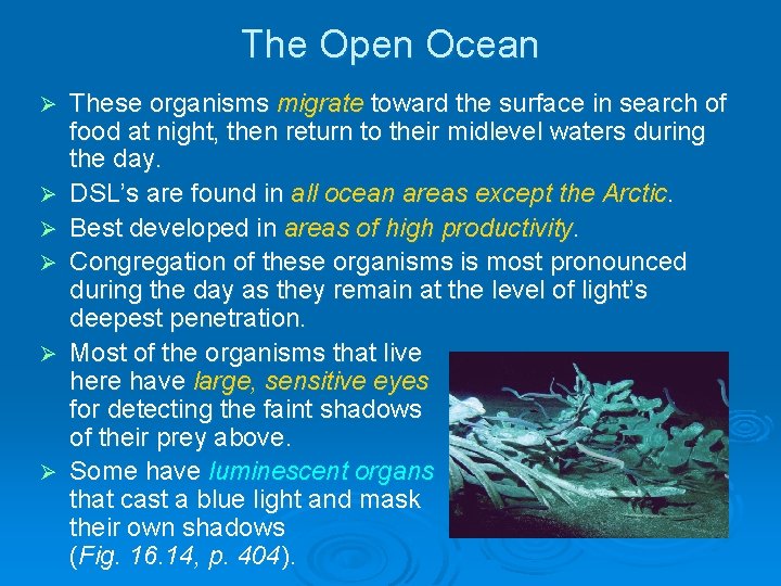 The Open Ocean Ø Ø Ø These organisms migrate toward the surface in search The Open Ocean Ø Ø Ø These organisms migrate toward the surface in search