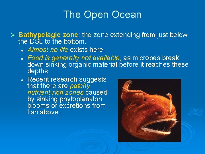 The Open Ocean Ø Bathypelagic zone: the zone extending from just below the DSL The Open Ocean Ø Bathypelagic zone: the zone extending from just below the DSL