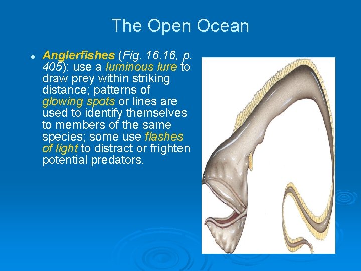 The Open Ocean l Anglerfishes (Fig. 16, p. 405): use a luminous lure to The Open Ocean l Anglerfishes (Fig. 16, p. 405): use a luminous lure to