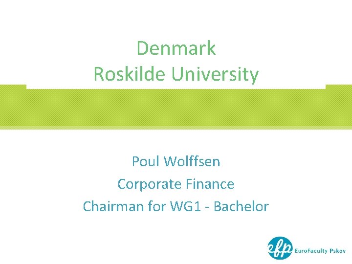 Denmark Roskilde University Poul Wolffsen Corporate Finance Chairman for WG 1 - Bachelor 