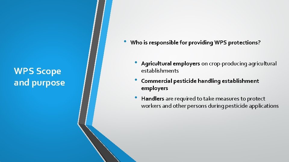  • WPS Scope and purpose Who is responsible for providing WPS protections? •