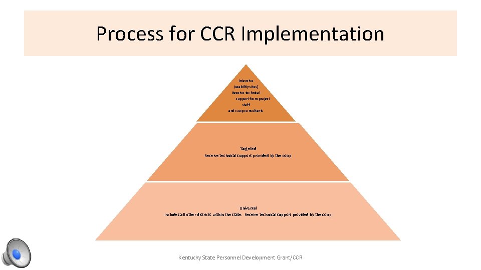 Process for CCR Implementation Intensive (usability sites) Receive technical support from project staff and