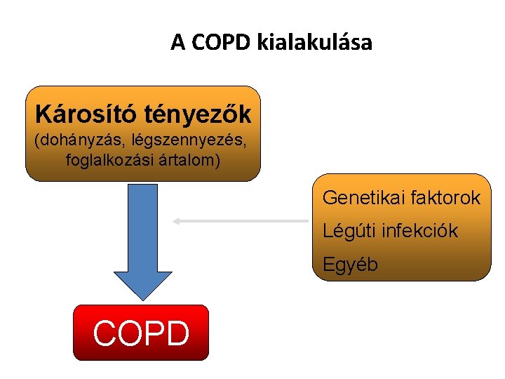 A COPD kialakulása Károsító tényezők (dohányzás, légszennyezés, foglalkozási ártalom) Genetikai faktorok Légúti infekciók Egyéb