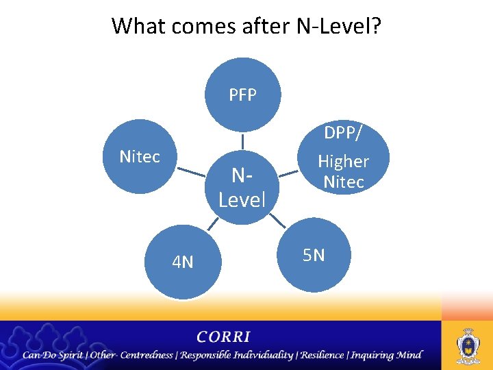 What comes after N-Level? PFP DPP/ Nitec NLevel 4 N Higher Nitec 5 N