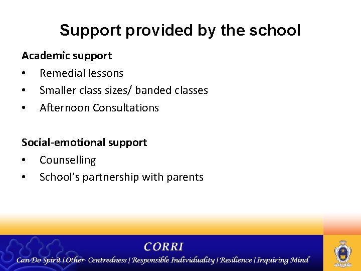 Support provided by the school Academic support • Remedial lessons • Smaller class sizes/