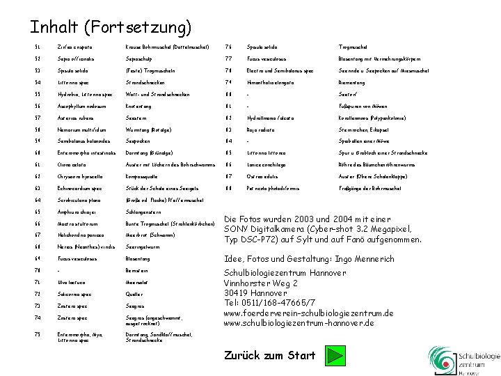 Inhalt (Fortsetzung) 51 Zirfea crispata Krause Bohrmuschel (Dattelmuschel) 76 Spisula solida Trogmuschel 52 Sepia Inhalt (Fortsetzung) 51 Zirfea crispata Krause Bohrmuschel (Dattelmuschel) 76 Spisula solida Trogmuschel 52 Sepia