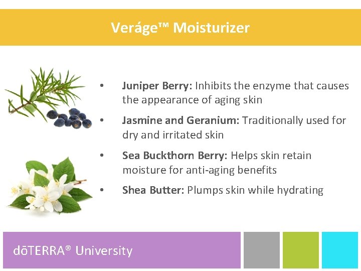 Veráge™ Moisturizer • Juniper Berry: Inhibits the enzyme that causes the appearance of aging