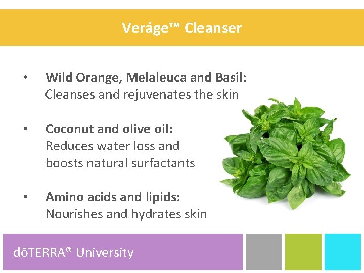 Veráge™ Cleanser • Wild Orange, Melaleuca and Basil: Cleanses and rejuvenates the skin •