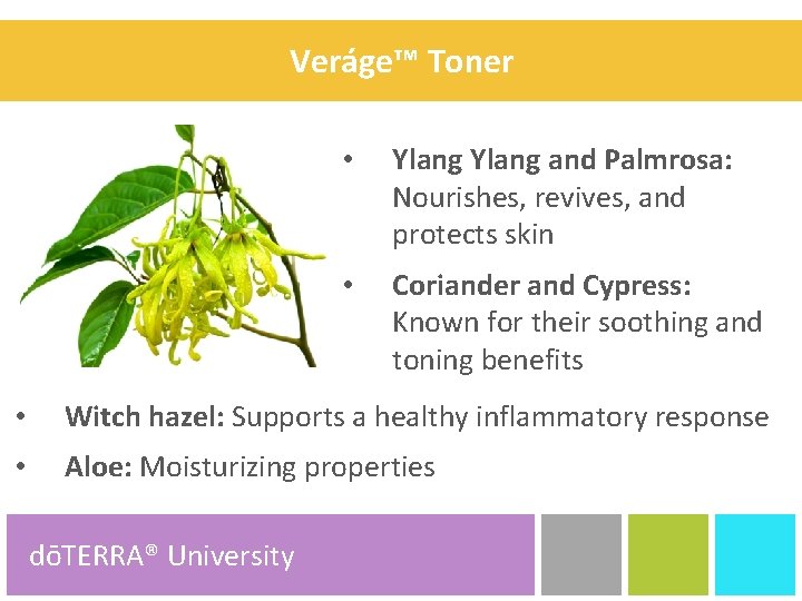 Veráge™ Toner • Ylang and Palmrosa: Nourishes, revives, and protects skin • Coriander and