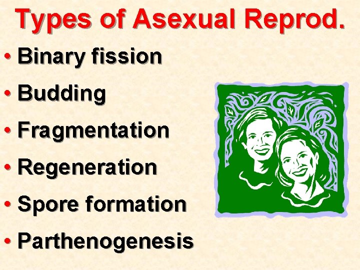Types of Asexual Reprod. • Binary fission • Budding • Fragmentation • Regeneration •