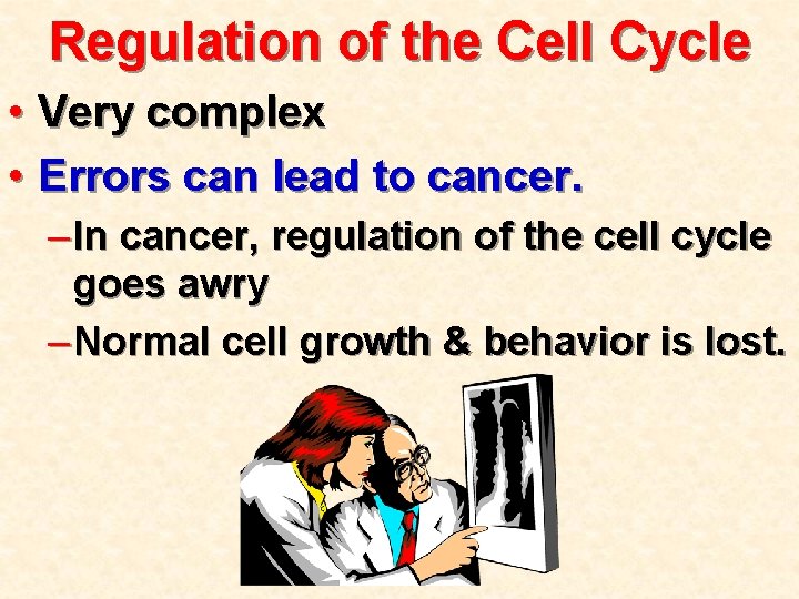 Regulation of the Cell Cycle • Very complex • Errors can lead to cancer.
