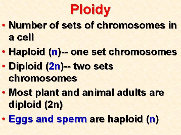 Ploidy • Number of sets of chromosomes in a cell • Haploid (n)-- one