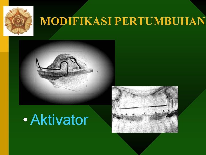 MODIFIKASI PERTUMBUHAN • Aktivator 