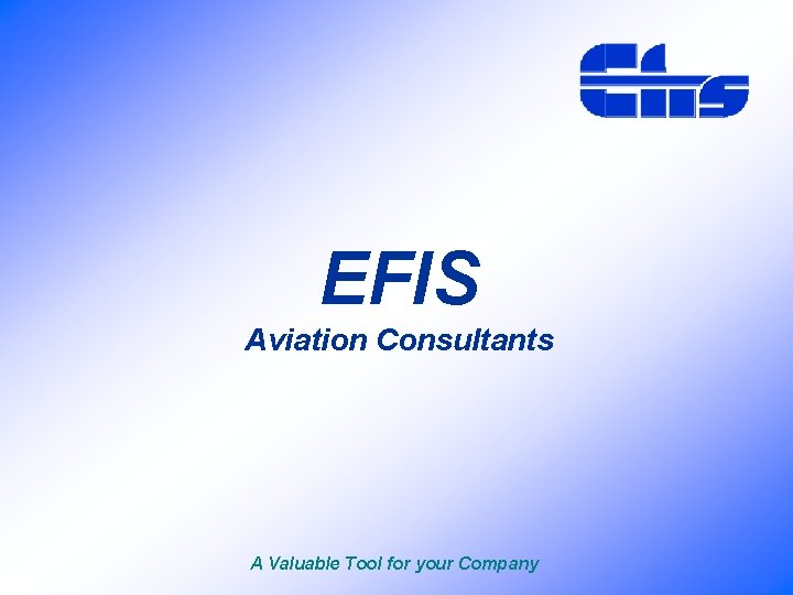 EFIS Aviation Consultants A Valuable Tool for your Company 