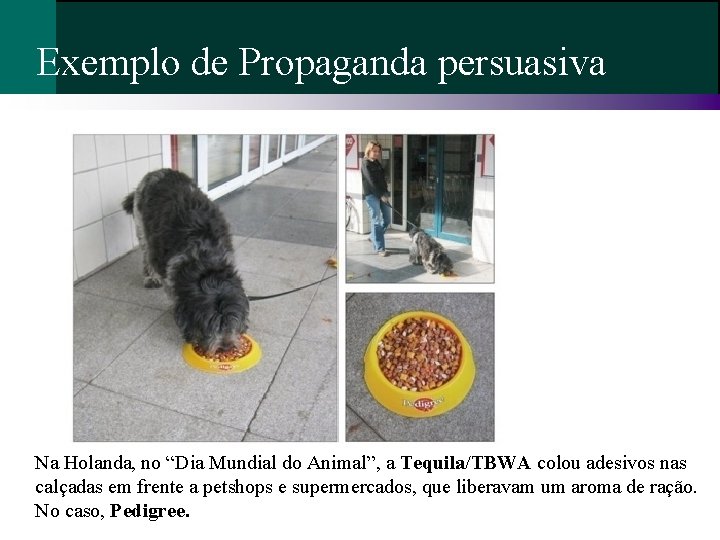 Exemplo de Propaganda persuasiva Na Holanda, no “Dia Mundial do Animal”, a Tequila/TBWA colou Exemplo de Propaganda persuasiva Na Holanda, no “Dia Mundial do Animal”, a Tequila/TBWA colou