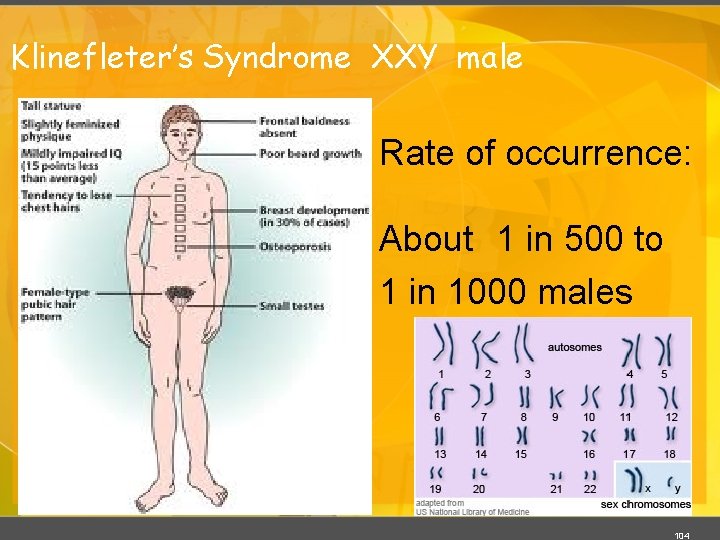 Klinefleter’s Syndrome XXY male Rate of occurrence: About 1 in 500 to 1 in