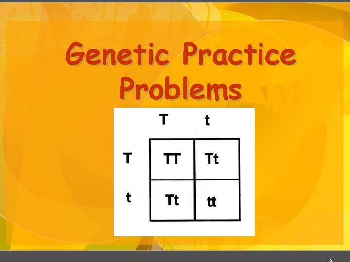 Genetic Practice Problems 21 