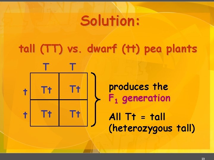 Solution: tall (TT) vs. dwarf (tt) pea plants T T t Tt Tt produces