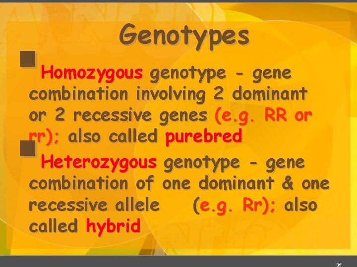 § Genotypes Homozygous genotype - gene combination involving 2 dominant or 2 recessive genes