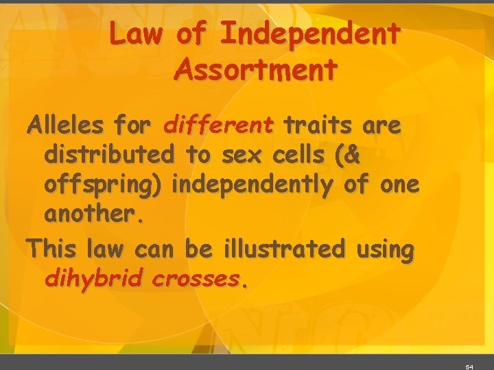 Law of Independent Assortment Alleles for different traits are distributed to sex cells (&
