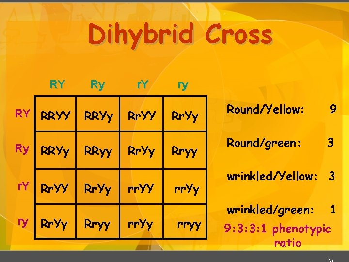 Dihybrid Cross RY RY RRYY Ry RRYy r. Y Rr. YY ry Rr. Yy