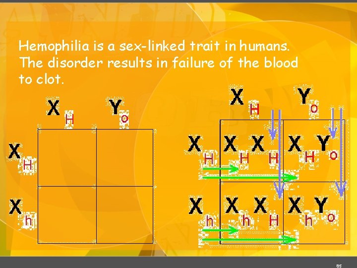 Hemophilia is a sex-linked trait in humans. The disorder results in failure of the