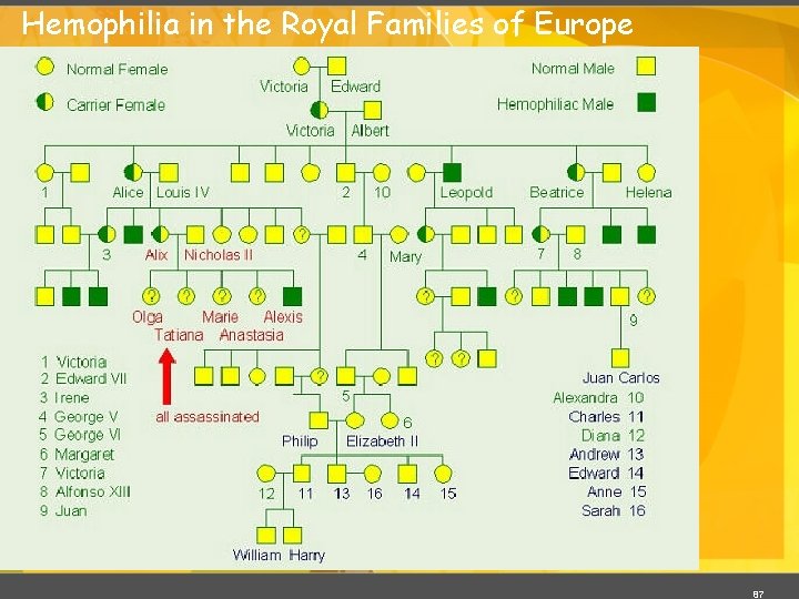 Hemophilia in the Royal Families of Europe 87 