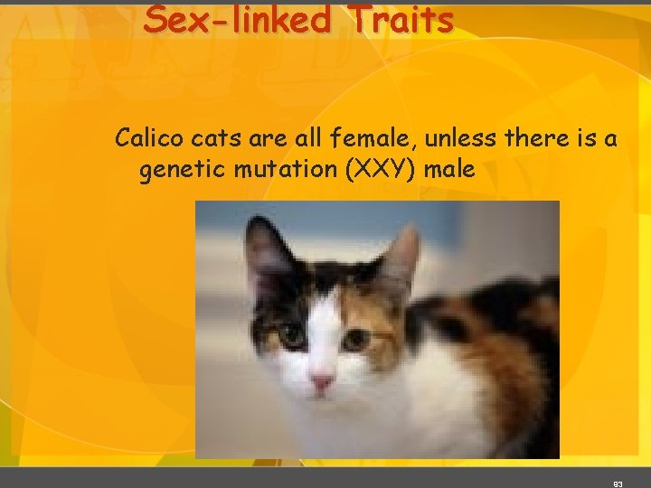 Sex-linked Traits Calico cats are all female, unless there is a genetic mutation (XXY)