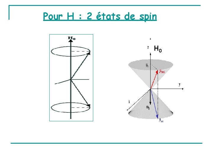 Pour H : 2 états de spin H 0 