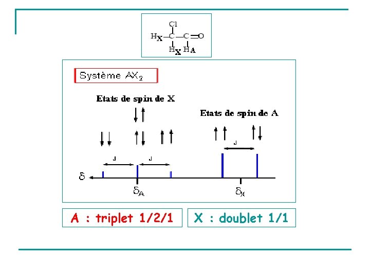  A : triplet 1/2/1 X : doublet 1/1 