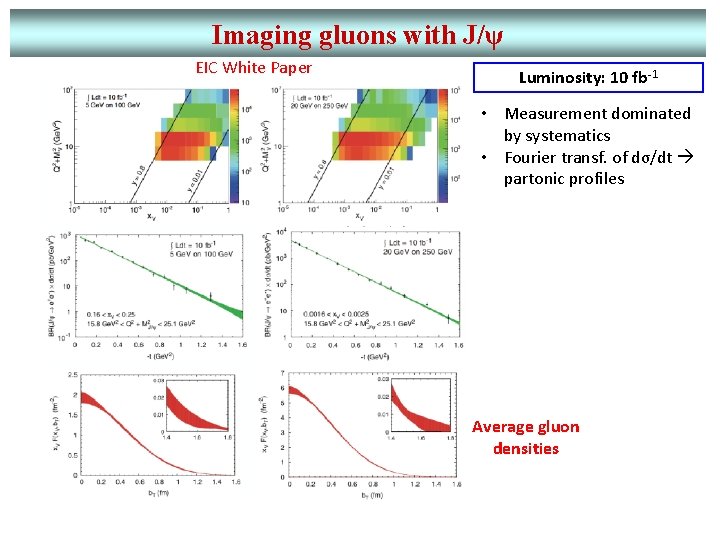 Imaging gluons with J/ψ EIC White Paper Luminosity: 10 fb-1 • Measurement dominated by