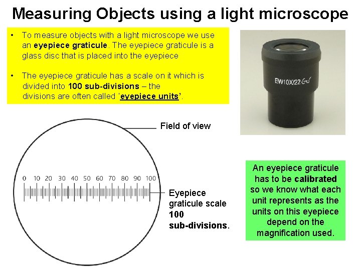 Measuring Objects using a light microscope • To measure objects with a light microscope