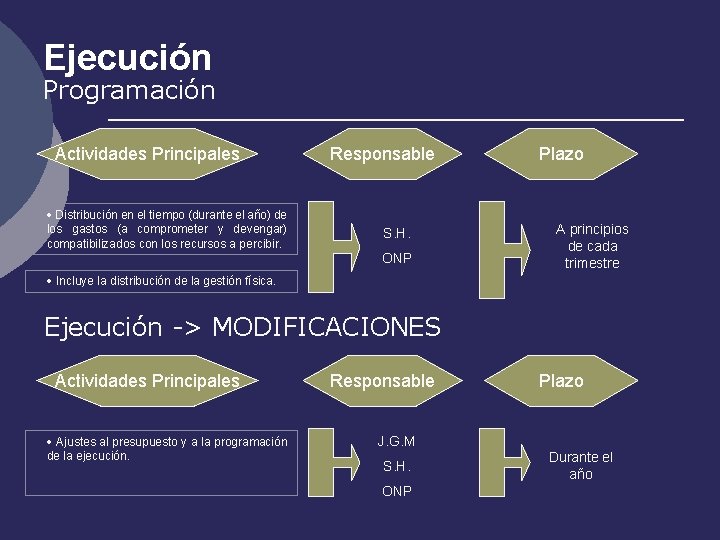 Ejecución Programación Actividades Principales · Distribución en el tiempo (durante el año) de los