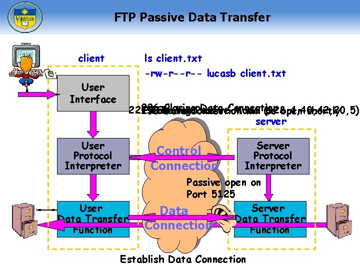 FTP Passive Data Transfer client ls client. txt -rw-r--r-- lucasb client. txt User Interface