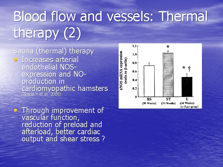 Blood flow and vessels: Thermal therapy (2) Sauna (thermal) therapy • Increases arterial endothelial